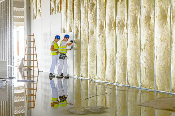 Insulation Air Sealing in Castle Hills, TX